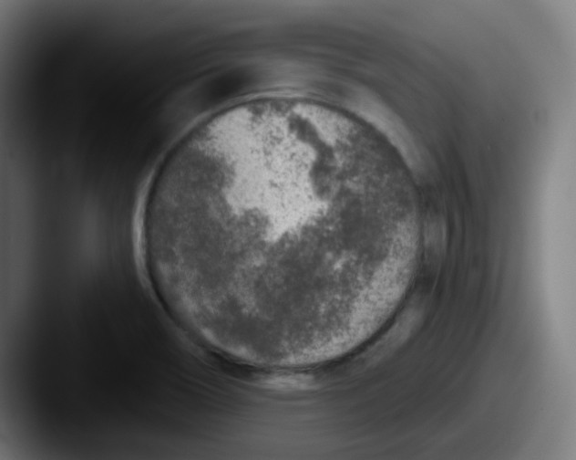 X0000087571466200705181134