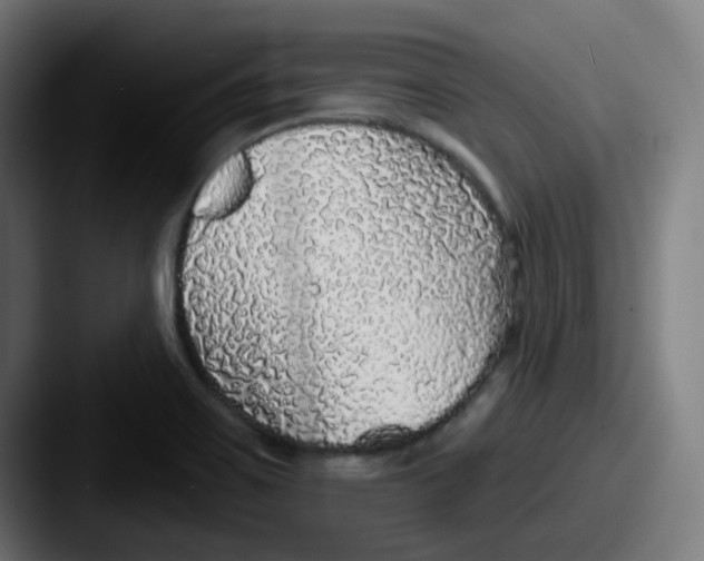 X0000087571467200705181134