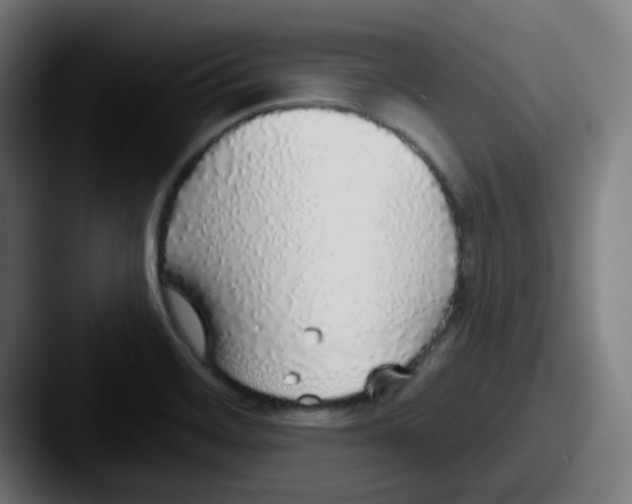 X0000087571468200705181134