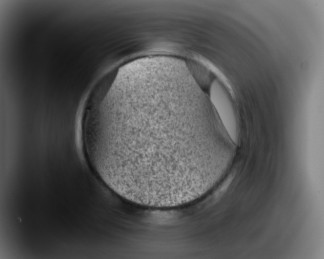 X0000087571469200705181134