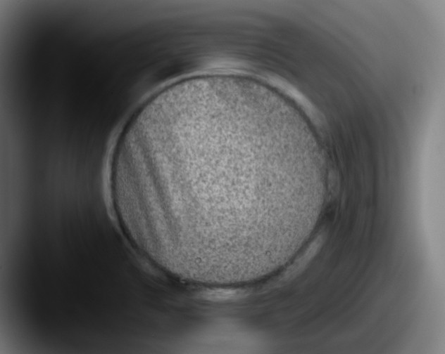 X0000087571470200705181134