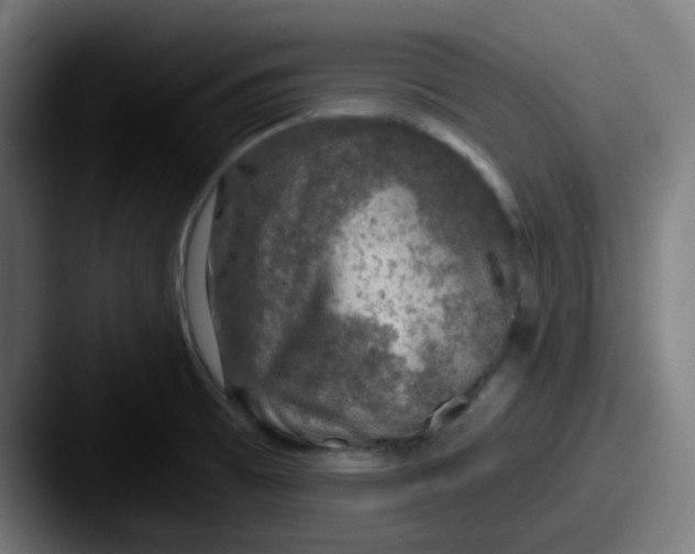 X0000087571473200705181134