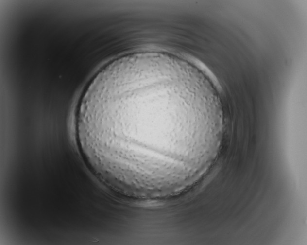 X0000087571476200705181134