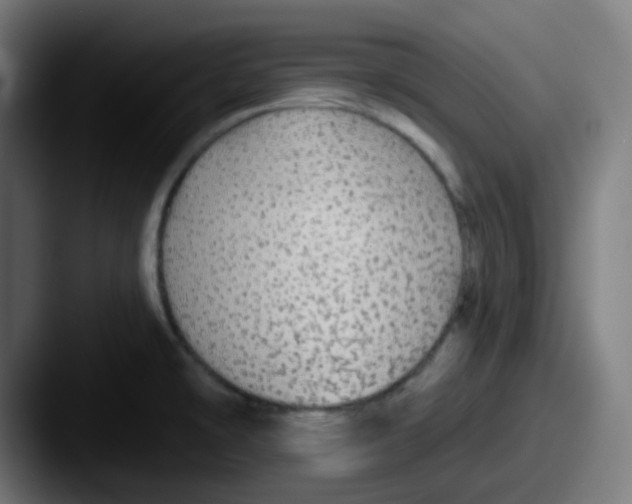 X0000087571478200705181134