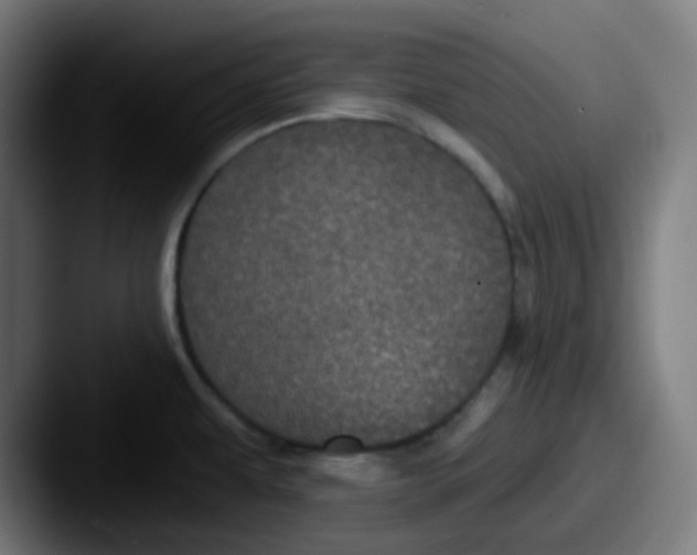 X0000087571479200705181134