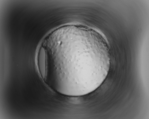 X0000087571480200705181134