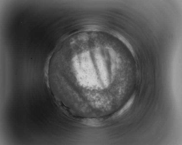 X0000087571481200705181134