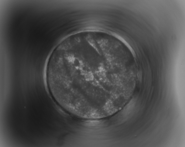 X0000087571482200705181134