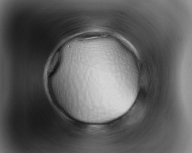 X0000087571483200705181134