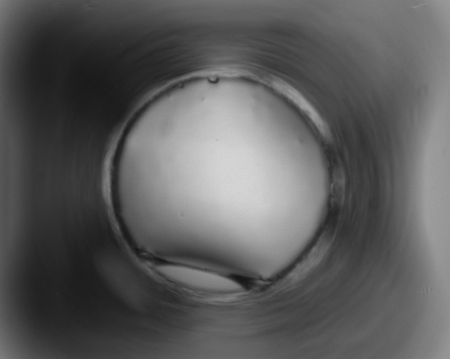 X0000087571484200705181134