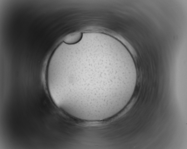 X0000087571486200705181134