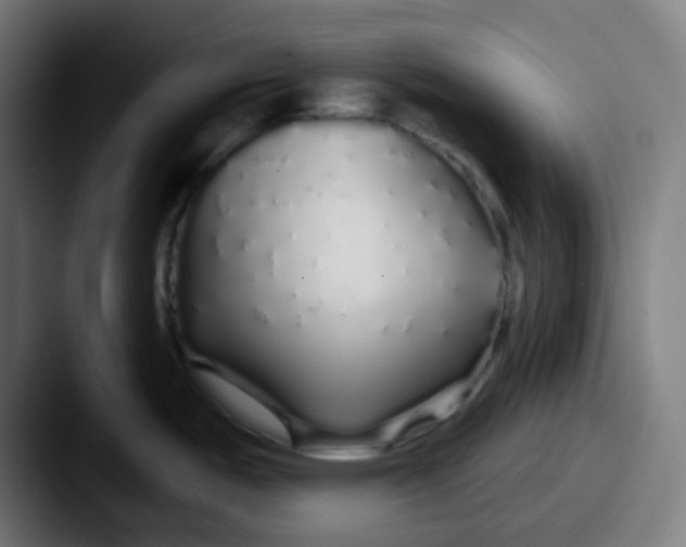 X0000087571487200705181134