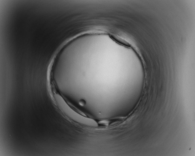 X0000087571488200705181134