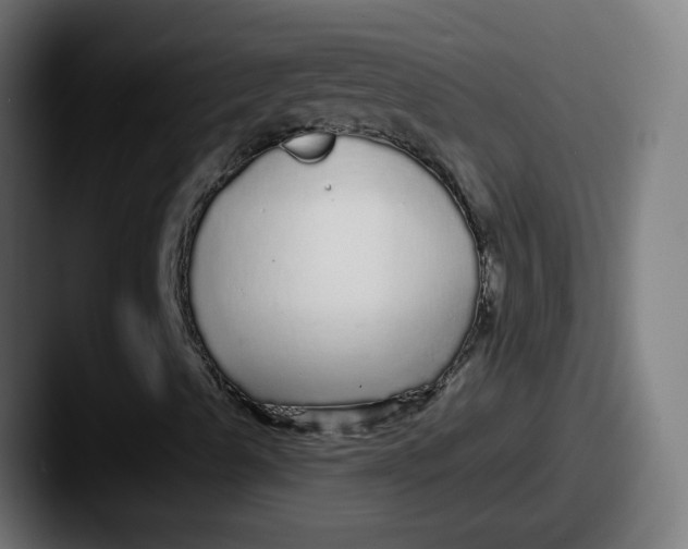 X0000087571489200705181133