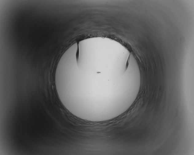 X0000087571492200705181133