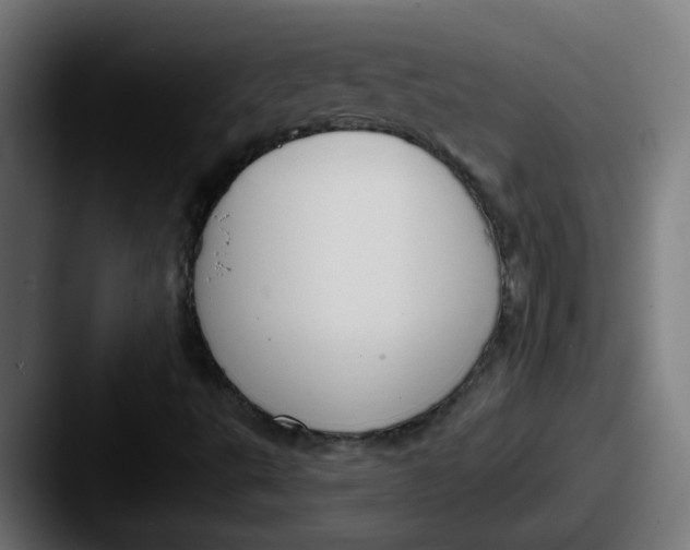 X0000087571495200705181133