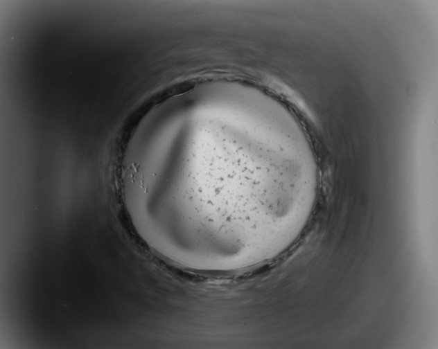 X0000087571496200705181133