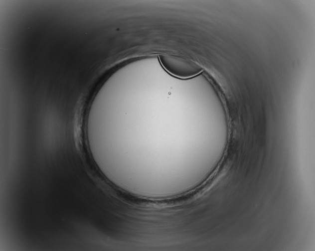 X0000087571499200705181133