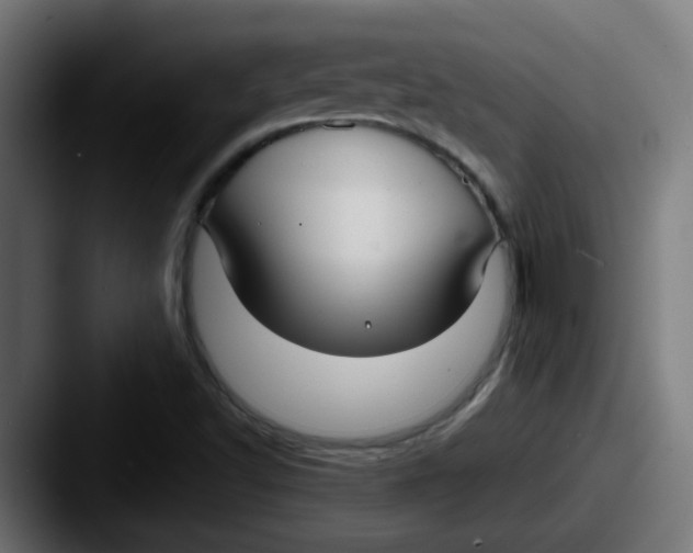 X0000087571502200705181133