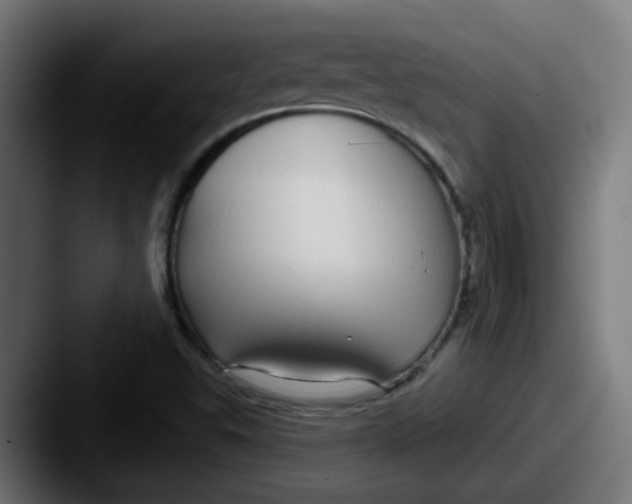 X0000087571503200705181133