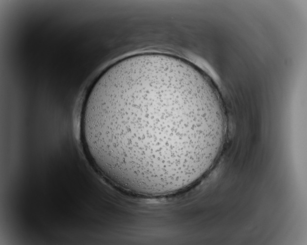 X0000087571504200705181133