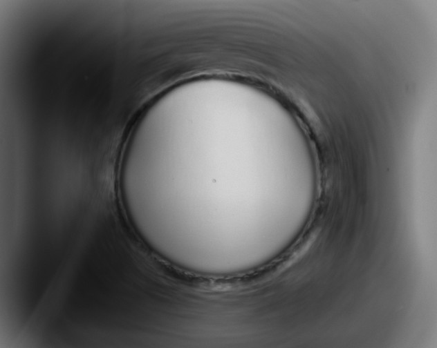 X0000087571505200705181133