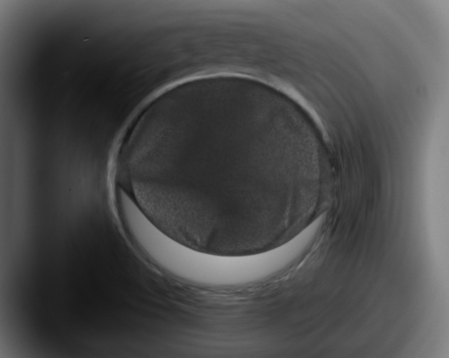 X0000087571508200705181133