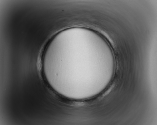 X0000087571509200705181133