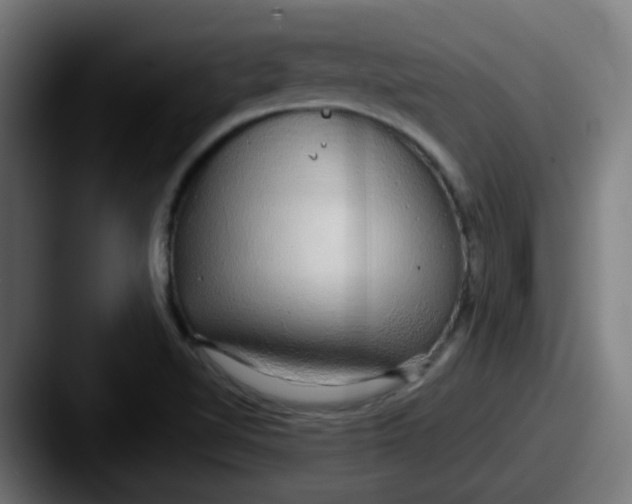 X0000087571510200705181133