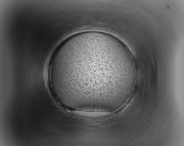 X0000087571511200705181133