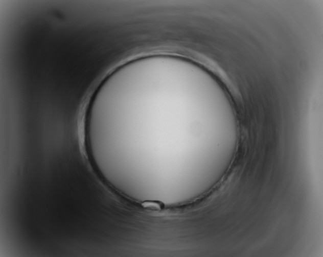 X0000087571512200705181133