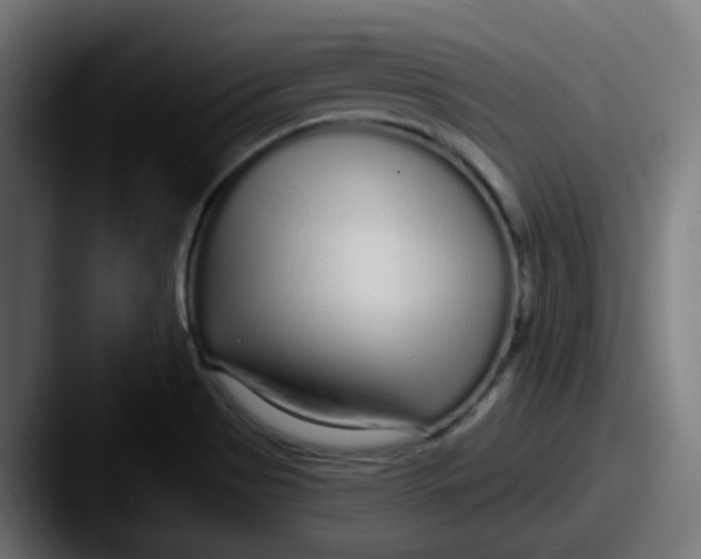 X0000087571513200705181133