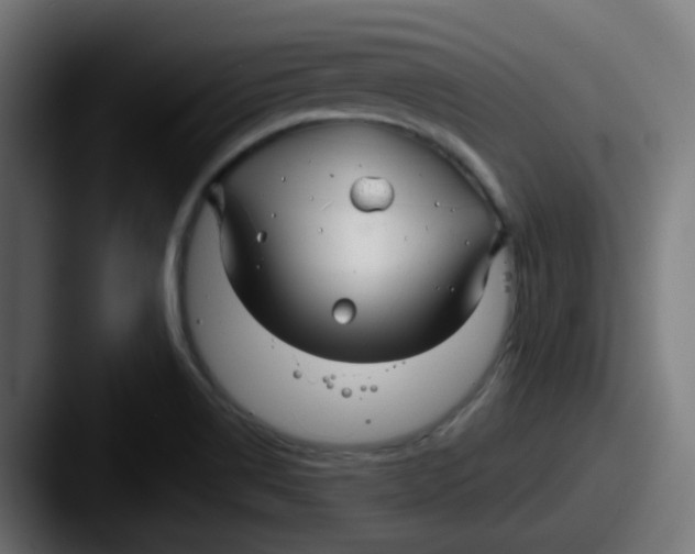 X0000087571514200705181133