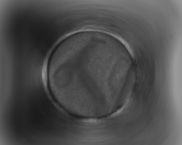 X0000087571515200705181133