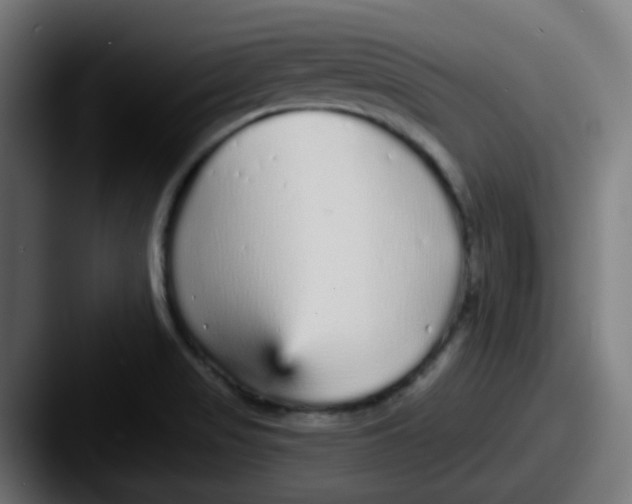 X0000087571517200705181133