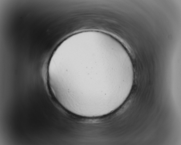 X0000087571519200705181133