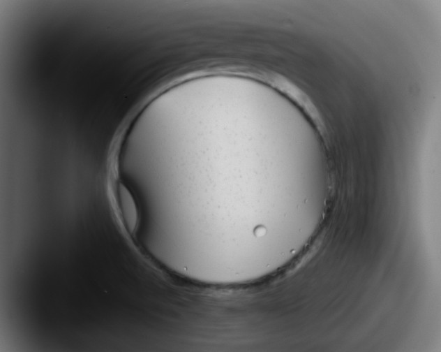 X0000087571520200705181133