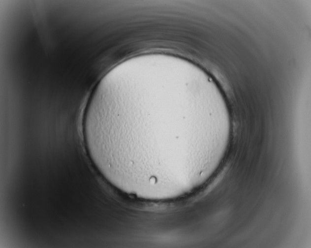 X0000087571521200705181133