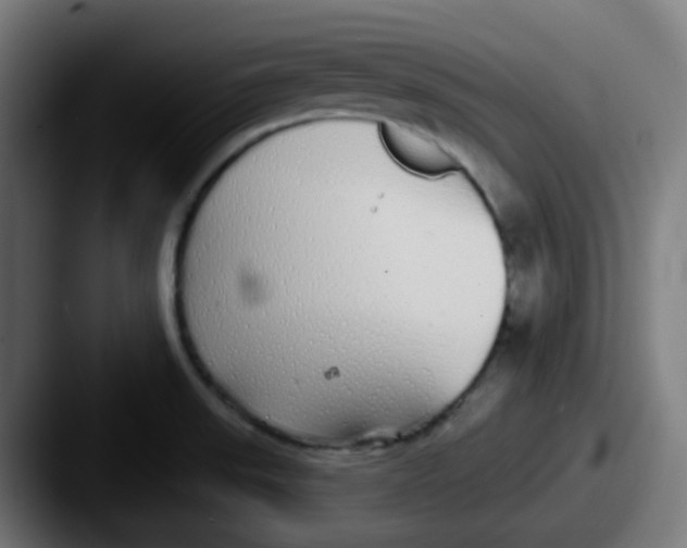 X0000087571523200705181133