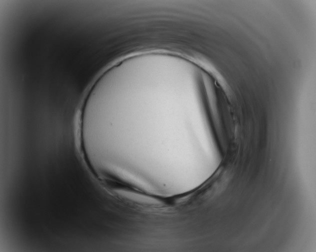 X0000087571524200705181133