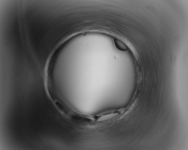 X0000087571525200705181133