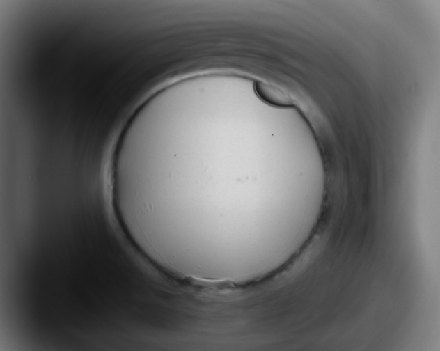 X0000087571526200705181133