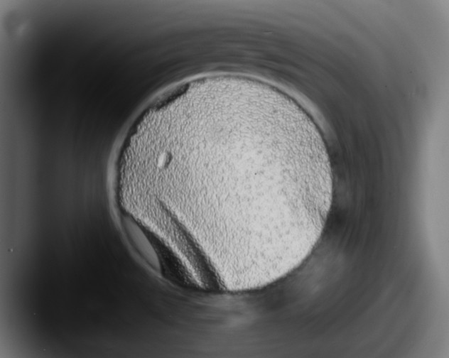 X0000087571527200705181133