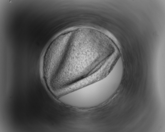 X0000087571528200705181133