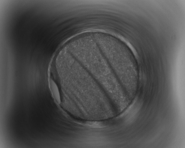 X0000087571529200705181133