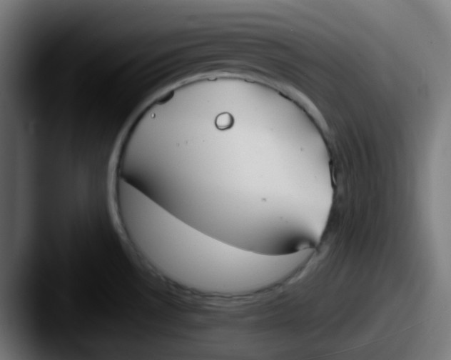 X0000087571530200705181133