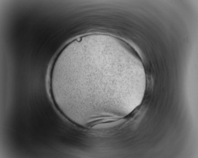 X0000087571531200705181133