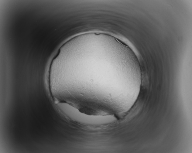 X0000087571532200705181133