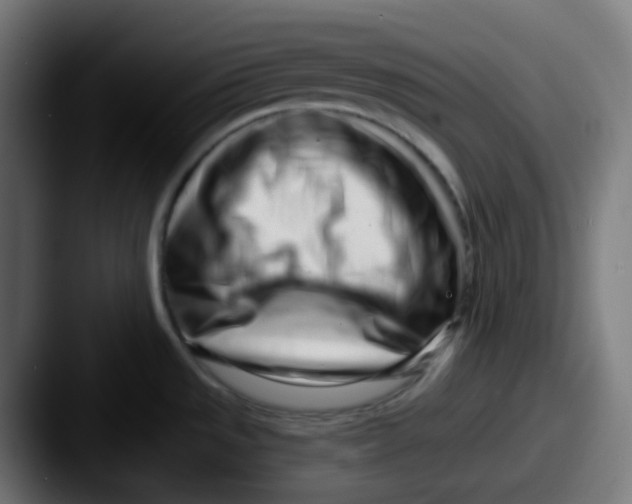 X0000087571533200705181133