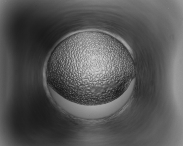 X0000087571534200705181133